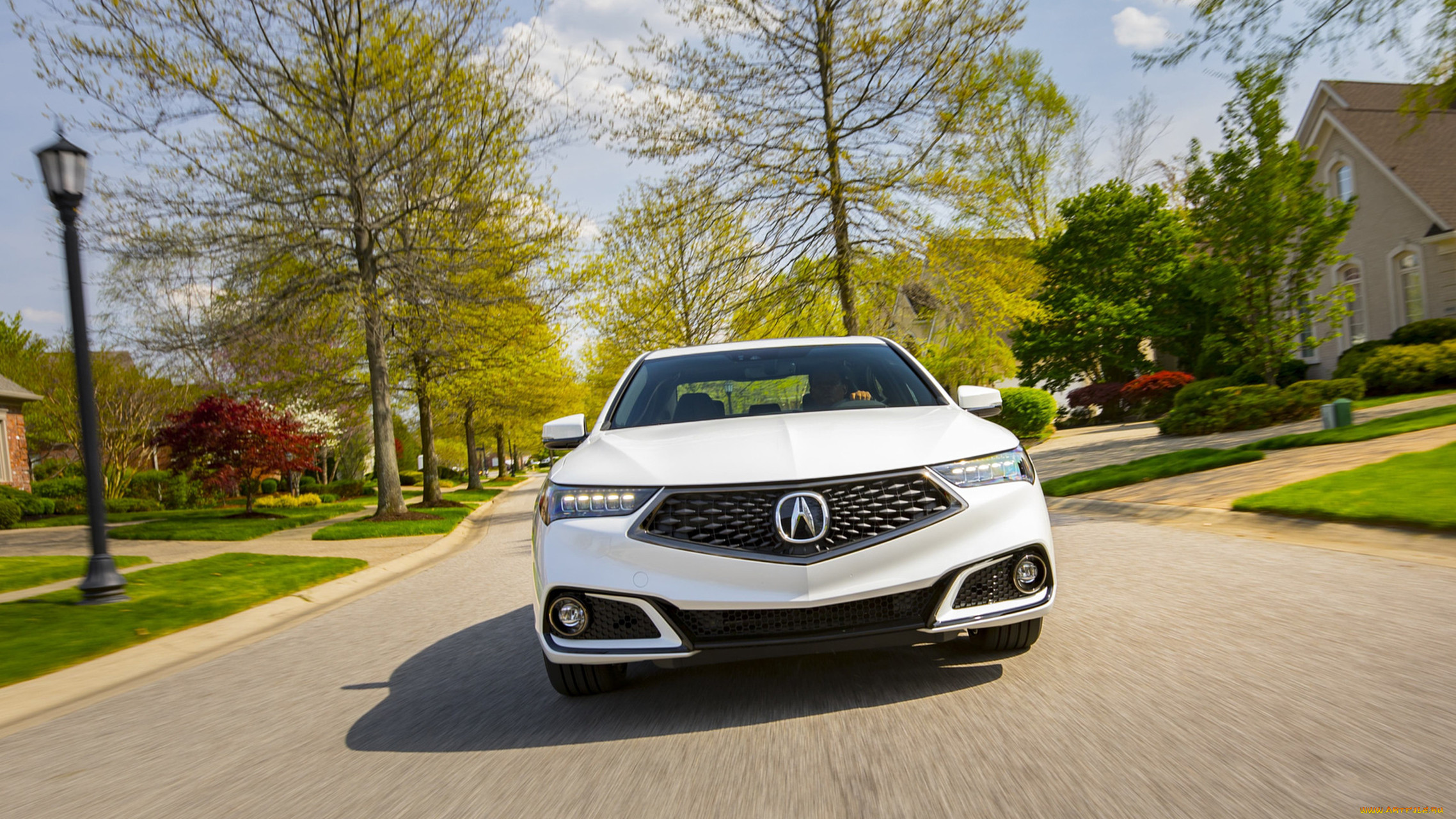 acura tlx a-spec sh-awd 2019, , acura, 2019, sh-awd, a-spec, tlx, 